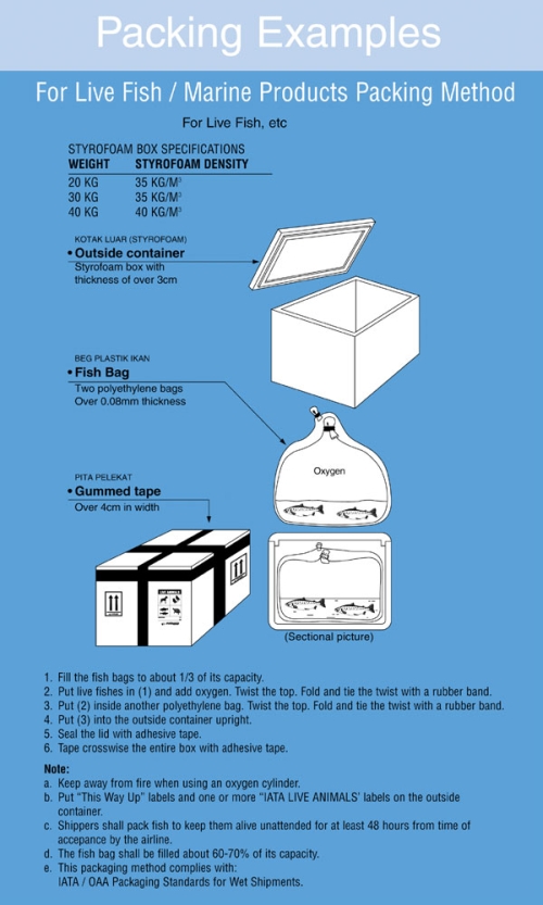 Shipping & Packing Guide Slide 7